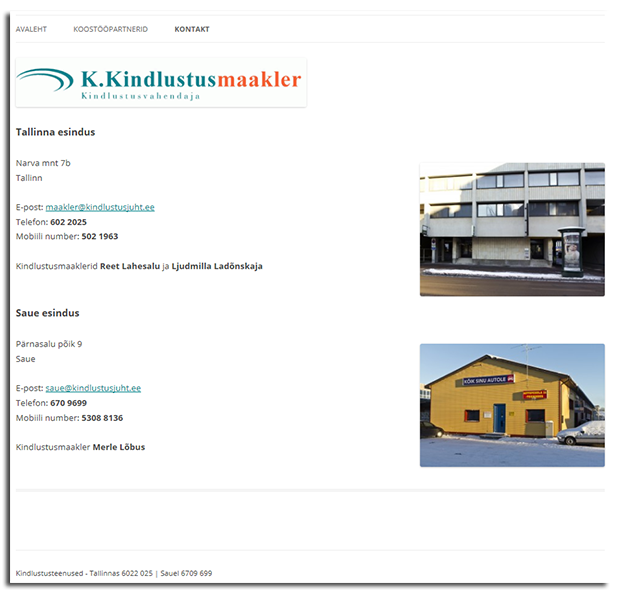 ekraanipilt veebilehest - veebivorm